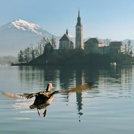 April * Bled